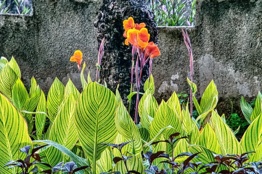 緑景園 6